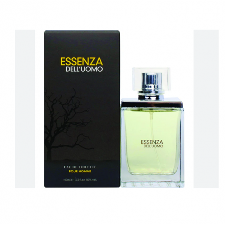 COMIN EDT UOMO TERRE DHERMES 100ML ESSENZA