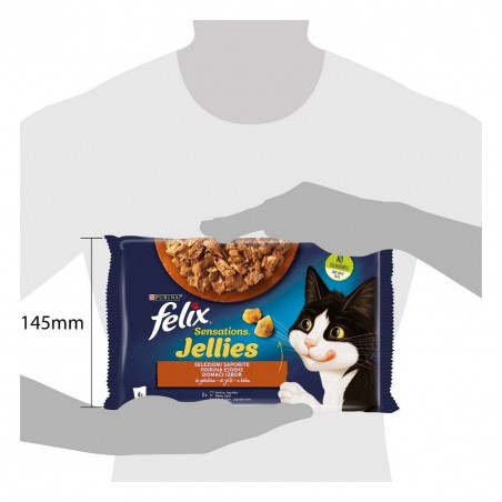 PURINA SENSATIONS JELLIES ANATRA/AGNELLO 85GRX4