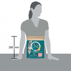 PURINA ONE GATTO CROC SALMONE/CER ADULT 800GR