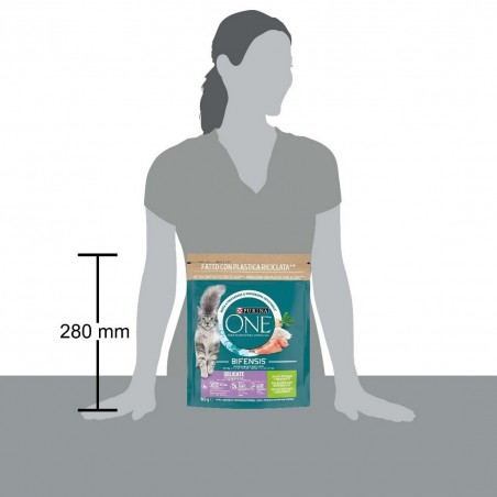 PURINA ONE GATTO CROC DELICATE TACCH 800GR