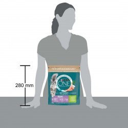 PURINA ONE GATTO CROC DELICATE TACCH 800GR