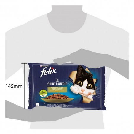 PURINA LE GHIOTTONERIE SALM/ZUCCH GEL 85GRX4