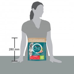 PURINA ONE GATTO CROC STERILCAT TACCH/FRUM 800GR